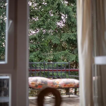 Pedja קופאוניק