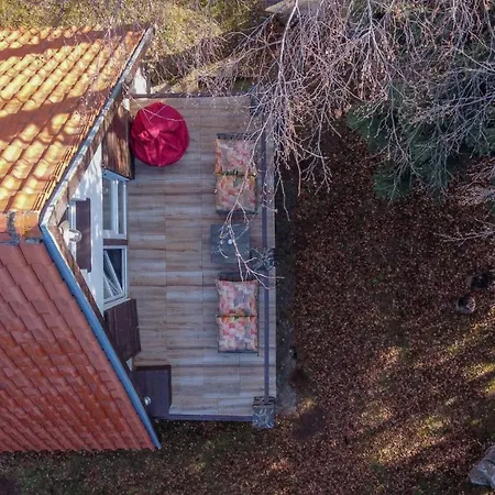 Pedja Holiday home *