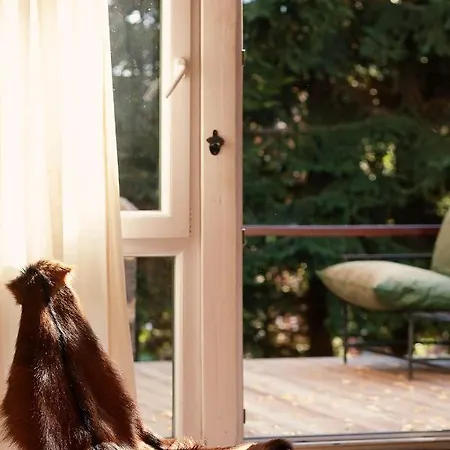 בית נופש Pedja *