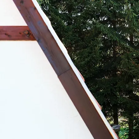 Pedja Kopaonik