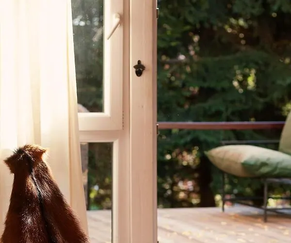 Vakantiehuis Pedja *