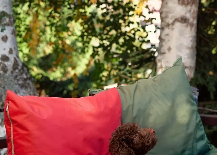 Pedja Vakantiehuis *